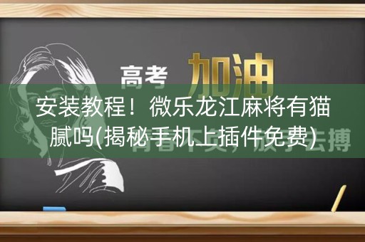安装教程！微乐龙江麻将有猫腻吗(揭秘手机上插件免费)