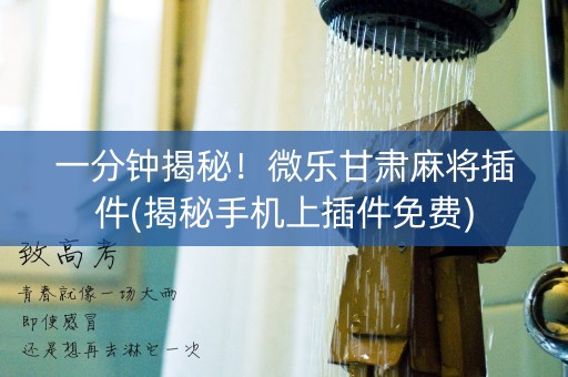 一分钟揭秘！微乐甘肃麻将插件(揭秘手机上插件免费)