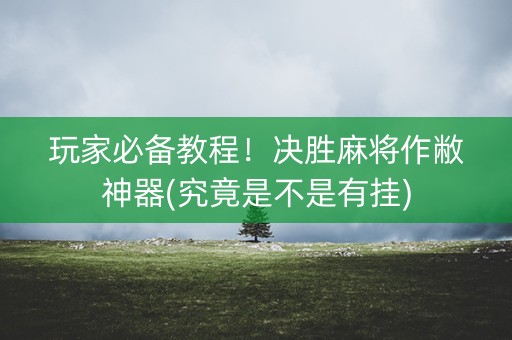 玩家必备教程！决胜麻将作敝神器(究竟是不是有挂)