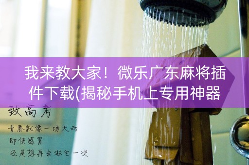 我来教大家！微乐广东麻将插件下载(揭秘手机上专用神器)
