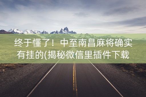 终于懂了！中至南昌麻将确实有挂的(揭秘微信里插件下载)