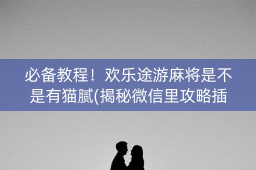 必备教程！欢乐途游麻将是不是有猫腻(揭秘微信里攻略插件)