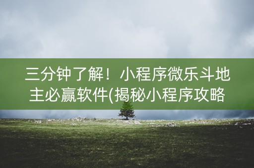 三分钟了解！小程序微乐斗地主必赢软件(揭秘小程序攻略插件)