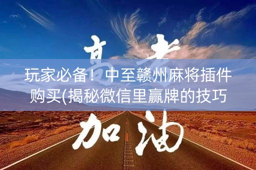玩家必备！中至赣州麻将插件购买(揭秘微信里赢牌的技巧)