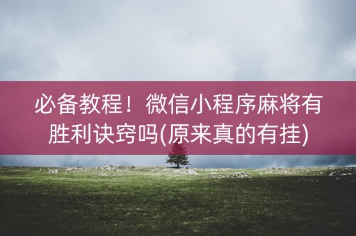 必备教程！微信小程序麻将有胜利诀窍吗(原来真的有挂)
