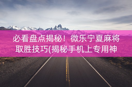 必看盘点揭秘！微乐宁夏麻将取胜技巧(揭秘手机上专用神器)