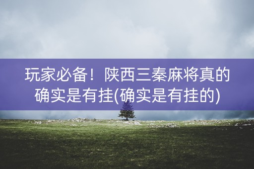 玩家必备！陕西三秦麻将真的确实是有挂(确实是有挂的)