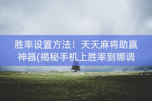 胜率设置方法！天天麻将助赢神器(揭秘手机上胜率到哪调)