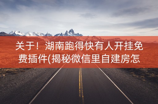 关于！湖南跑得快有人开挂免费插件(揭秘微信里自建房怎么赢)