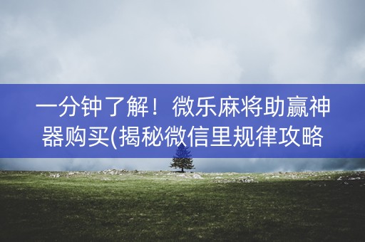 一分钟了解！微乐麻将助赢神器购买(揭秘微信里规律攻略)