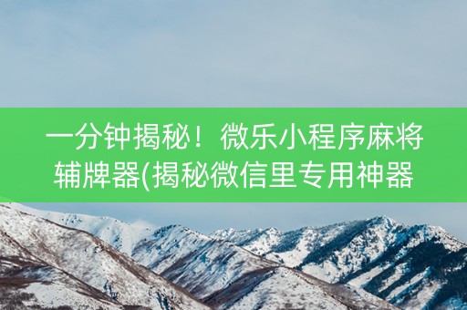 一分钟揭秘！微乐小程序麻将辅牌器(揭秘微信里专用神器下载)