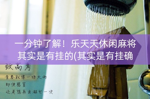 一分钟了解！乐天天休闲麻将其实是有挂的(其实是有挂确实有挂)