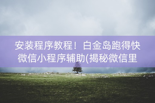 安装程序教程！白金岛跑得快微信小程序辅助(揭秘微信里规律攻略)