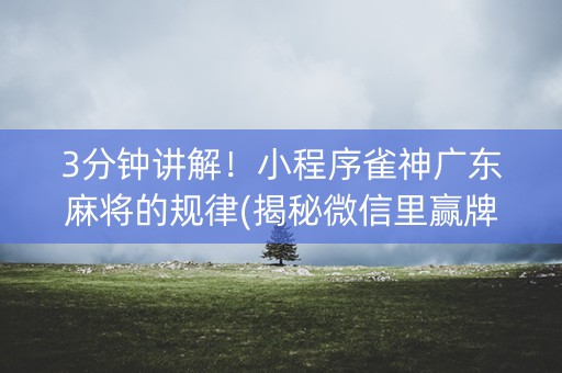 3分钟讲解！小程序雀神广东麻将的规律(揭秘微信里赢牌技巧)