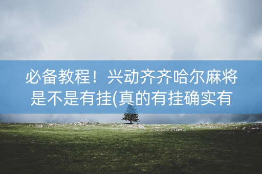 必备教程！兴动齐齐哈尔麻将是不是有挂(真的有挂确实有挂)