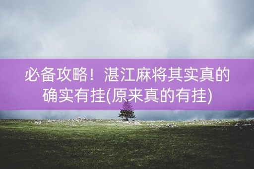 必备攻略！湛江麻将其实真的确实有挂(原来真的有挂)
