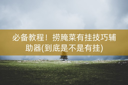 必备教程！捞腌菜有挂技巧辅助器(到底是不是有挂)