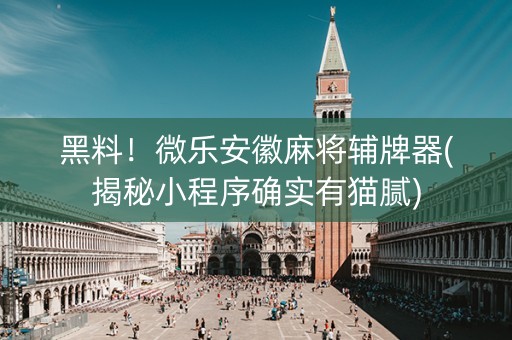 黑料！微乐安徽麻将辅牌器(揭秘小程序确实有猫腻)