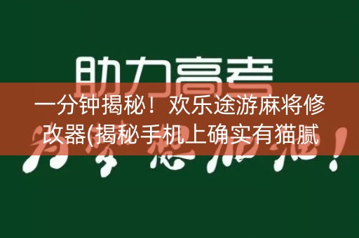 一分钟揭秘！欢乐途游麻将修改器(揭秘手机上确实有猫腻)