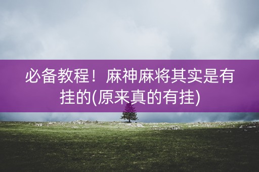必备教程！麻神麻将其实是有挂的(原来真的有挂)