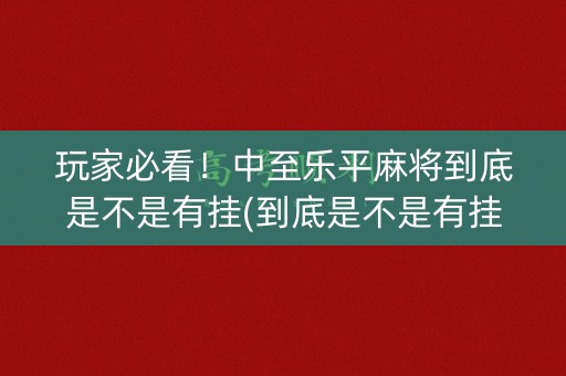 玩家必看！中至乐平麻将到底是不是有挂(到底是不是有挂)