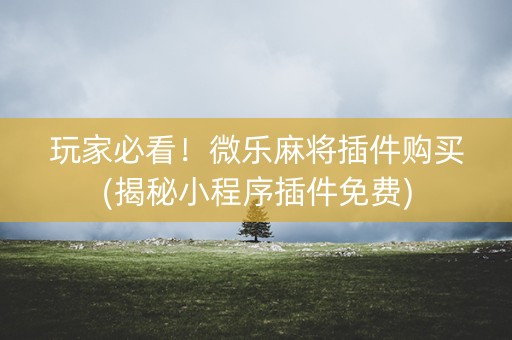 玩家必看！微乐麻将插件购买(揭秘小程序插件免费)
