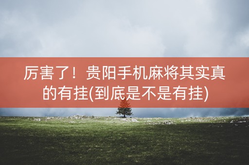 厉害了！贵阳手机麻将其实真的有挂(到底是不是有挂)