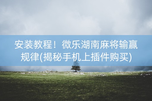 安装教程！微乐湖南麻将输赢规律(揭秘手机上插件购买)
