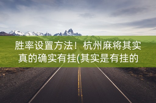 胜率设置方法！杭州麻将其实真的确实有挂(其实是有挂的)