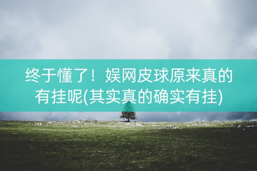 终于懂了！娱网皮球原来真的有挂呢(其实真的确实有挂)