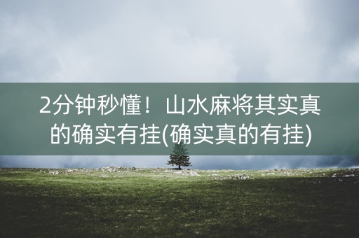 2分钟秒懂！山水麻将其实真的确实有挂(确实真的有挂)