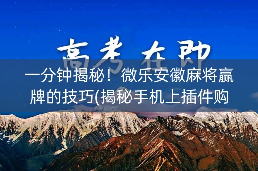 一分钟揭秘！微乐安徽麻将赢牌的技巧(揭秘手机上插件购买)