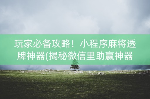 玩家必备攻略！小程序麻将透牌神器(揭秘微信里助赢神器)