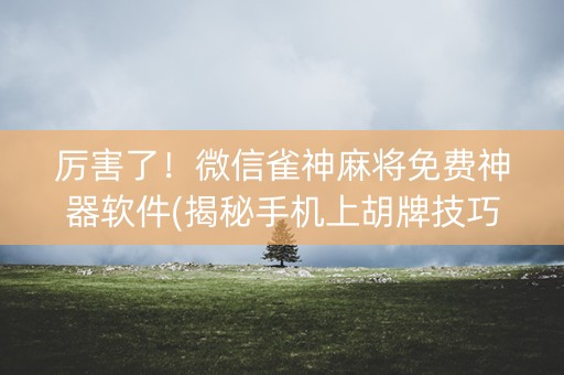 厉害了！微信雀神麻将免费神器软件(揭秘手机上胡牌技巧)