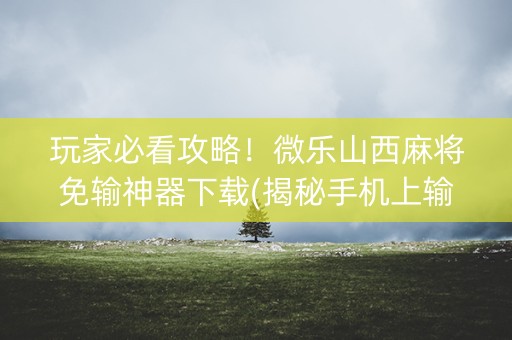 玩家必看攻略！微乐山西麻将免输神器下载(揭秘手机上输赢技巧)