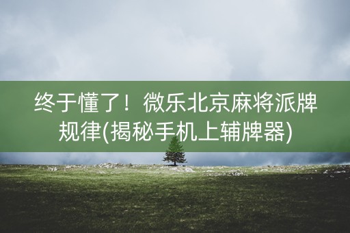 终于懂了！微乐北京麻将派牌规律(揭秘手机上辅牌器)