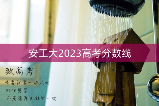 安工大2023高考分数线