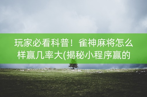 玩家必看科普！雀神麻将怎么样赢几率大(揭秘小程序赢的诀窍)