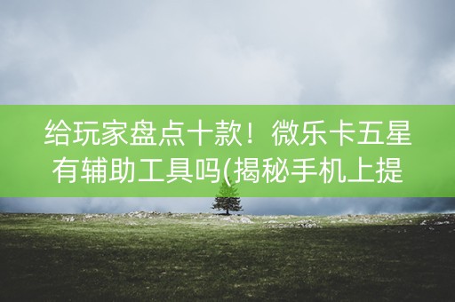 给玩家盘点十款！微乐卡五星有辅助工具吗(揭秘手机上提高胜率)