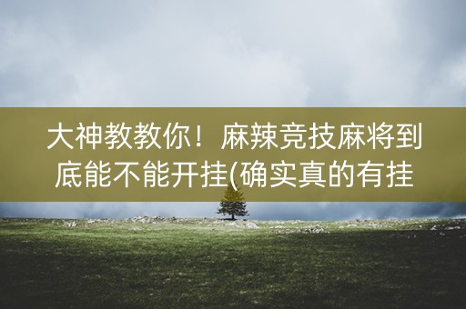大神教教你！麻辣竞技麻将到底能不能开挂(确实真的有挂)