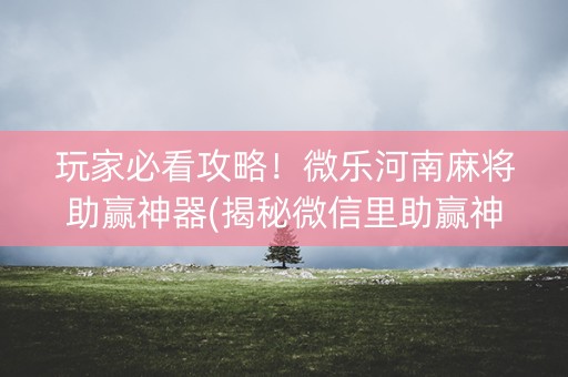 玩家必看攻略！微乐河南麻将助赢神器(揭秘微信里助赢神器购买)