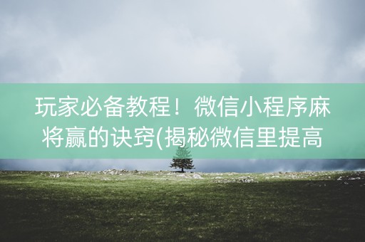 玩家必备教程！微信小程序麻将赢的诀窍(揭秘微信里提高赢的概率)
