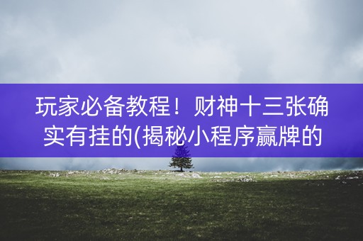 玩家必备教程！财神十三张确实有挂的(揭秘小程序赢牌的技巧)