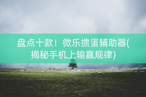 盘点十款！微乐掼蛋辅助器(揭秘手机上输赢规律)