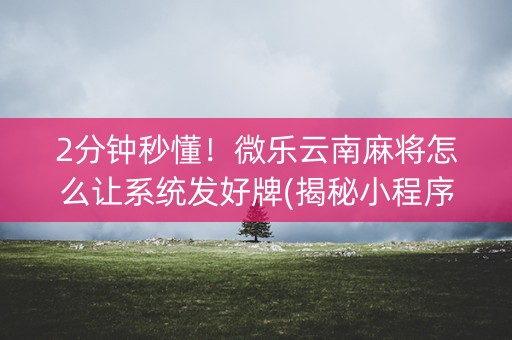 2分钟秒懂！微乐云南麻将怎么让系统发好牌(揭秘小程序专用神器下载)