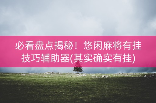 必看盘点揭秘！悠闲麻将有挂技巧辅助器(其实确实有挂)