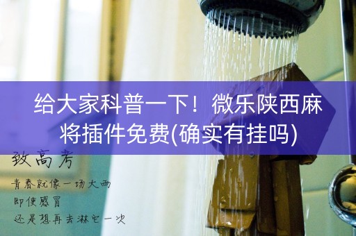 给大家科普一下！微乐陕西麻将插件免费(确实有挂吗)