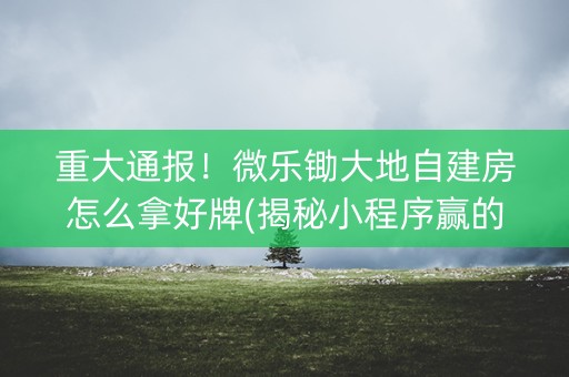 重大通报！微乐锄大地自建房怎么拿好牌(揭秘小程序赢的诀窍)