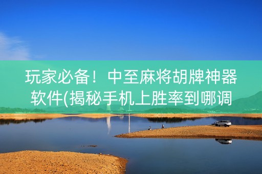玩家必备！中至麻将胡牌神器软件(揭秘手机上胜率到哪调)