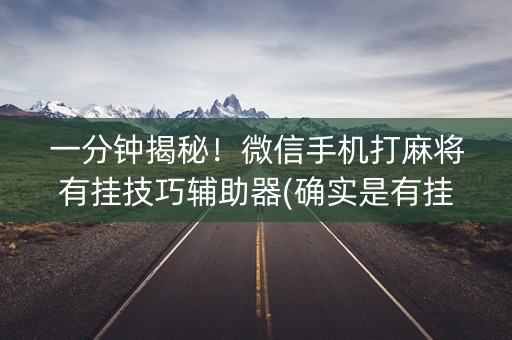一分钟揭秘！微信手机打麻将有挂技巧辅助器(确实是有挂的)